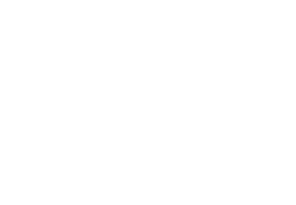 70th anniversary -SINCE 1949-